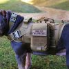 Tactical Dog Vest Military Hunting Shooting Cs Army Service Dog Vests Nylon Pet Vests Airsoft Training Molle Dog Vest Harness